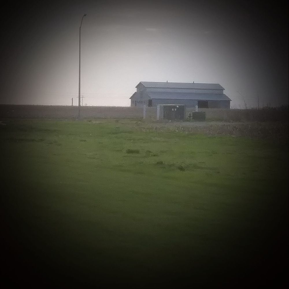 Meet your Posher, Kenny